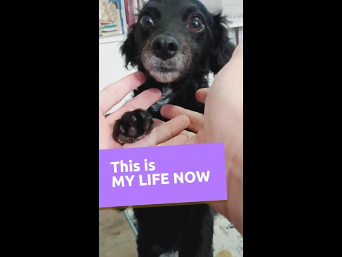 This is My Life Now...