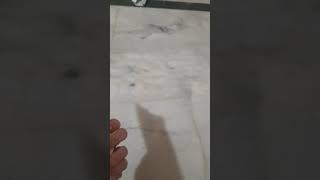 Big Basket Brown sugar scam screenshot 5