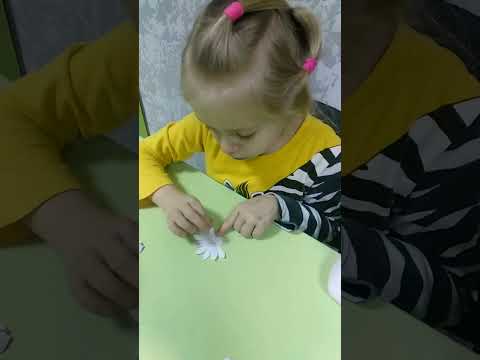 ЭКСПЕРИМЕНТ с бумагой и водой"Бумажные цветы распускаются в воде"