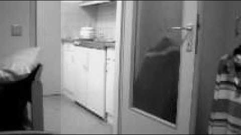 Mozart Prototype1 Matlab Demo Part 3 Real Time Image Mosaics.