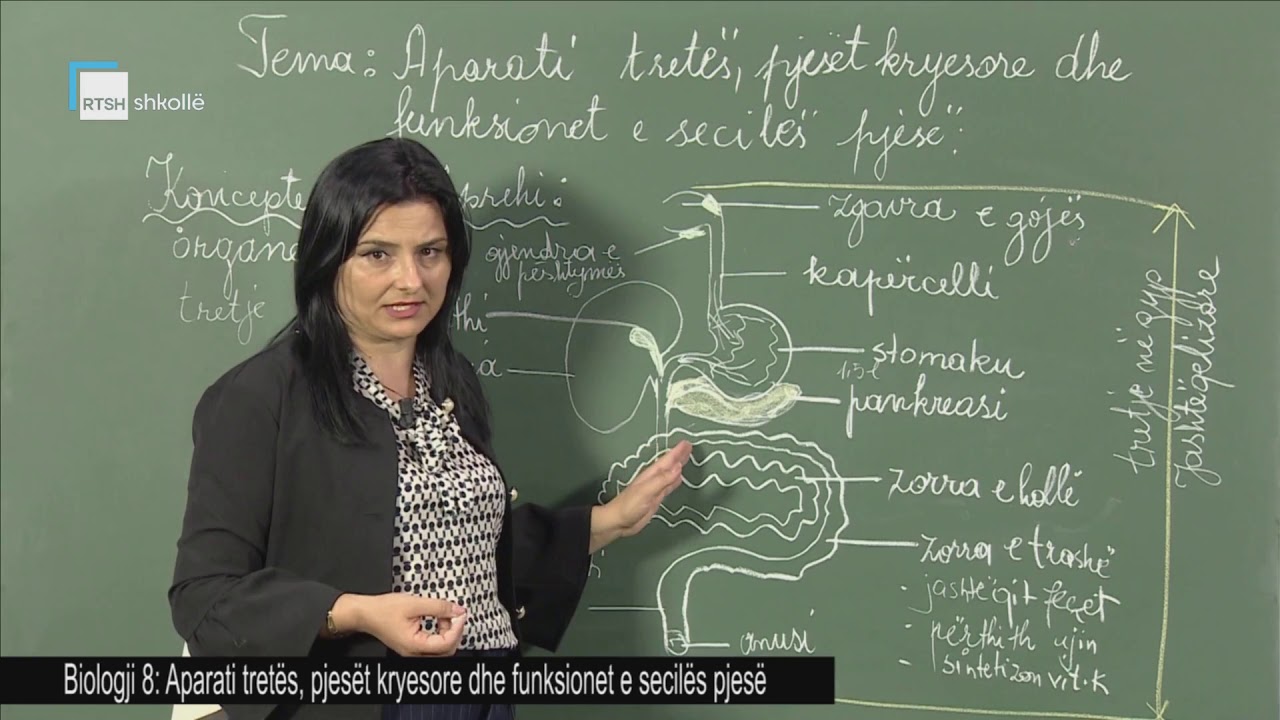 Biologji 8 - Aparati tretës, pjesët kryesore dhe funksionet e secilës pjesë