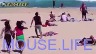 SNAKE LIFE - Best Scary Snake prank at bondi beach Australia   Most hillariuos knockers Prank by Animals Funny Life 42 views 4 years ago 1 minute, 54 seconds