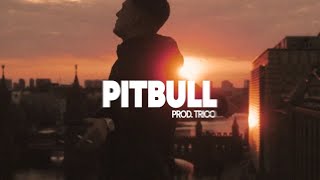 NGEE Type Beat "PITBULL" (prod. TRICO)