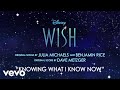 Knowing What I Know Now (From "Wish"/Instrumental/Audio Only)