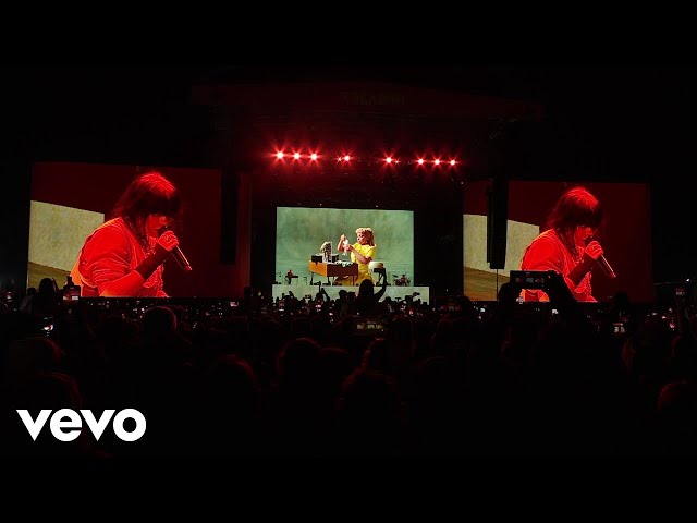 Billie Eilish - What Was I Made For? (Live from Reading Festival) class=