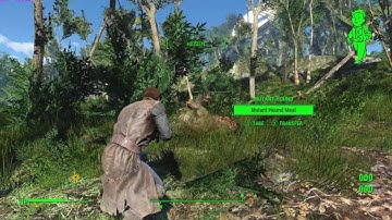 Fallout 4 Resurrection Forest Edition Mod Part 1