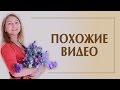 Источники трафика на YouTube. Похожие видео.