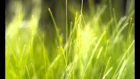 How to fix OpenGL problem for Angry Birds