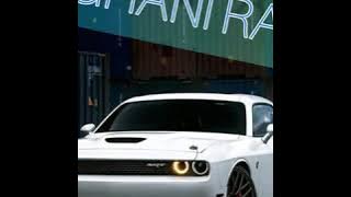 Cheb Jaloul Chalfi Had Chirat شاب جلول شلفي هاد شيرات