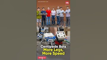 Testing the Limits: How Many Legs Are Best for Robotic Movement?