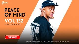 Nostalgic Slow Jam  2025 Mix  Peace Of Mind Vol 132  Dj Ace 
