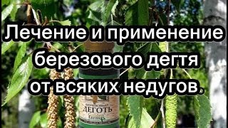 Лечение и применение березового дегтя от всяких недугов.