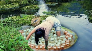 Outdoor handmade pearl picking process, beautiful pearls are mined in this way