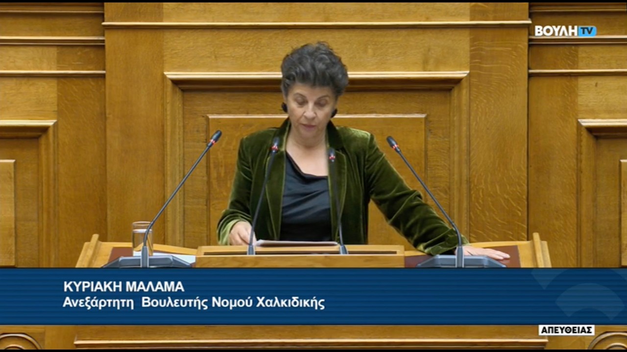 Η κυβέρνηση αντιλαμβάνεται τη πολιτική προστασία ως γραφειοκρατία ως εργολαβία κι ως ατομική ευθύνη