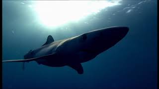 Blue (2001)