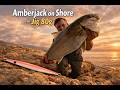 Amberjack in a fraction of a second completely changed the course
