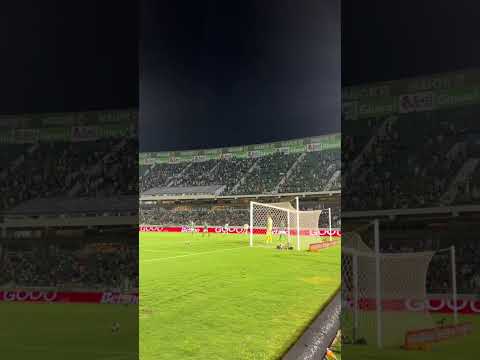 Estêvão brilha, Palmeiras