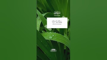 ﴿ وَيَزِيدُ اللَّهُ الَّذِينَ اهْتَدَوْا هُدًى ﴾ ‎#تدبر الشيـخ ‎#عبدالعزيز_الزهراني #سورة_مريم