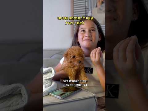 אימצתי את הכלב של נועה קירל 