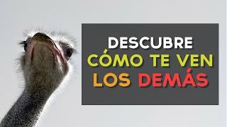 ¿Cómo te ven los demás? | Test de Personalidad Divertido