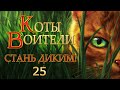 КОТЫ ВОИТЕЛИ - 1 {Стань Диким!} #25. Озвучка Готовим Вкусняшки.