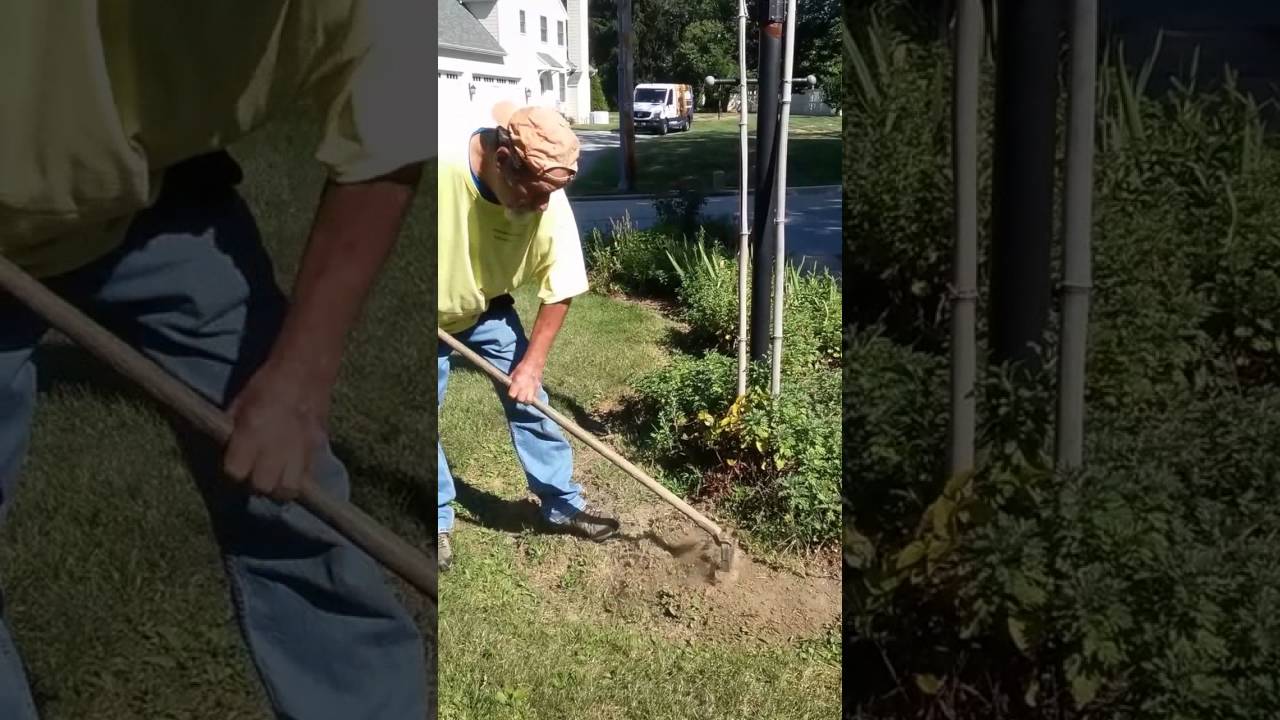 Loop Hoe garden weeding tool YouTube