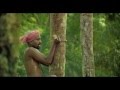 Asian paints coconut climbers new ultima protek ad kerala  short edit