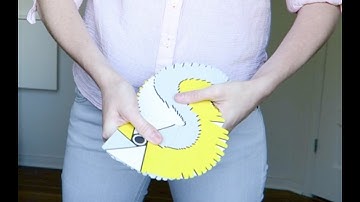 CARDISTRY BASICS - LEPAUL SPREAD