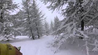 Vars Risoul Domaine de la Forêt Blanche Mars 2014 - FREESKI IN POW ☁ ☃