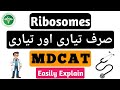 Ribosomes MDCAT Biology Lectures | Unit Cell Biology | MCAT & NUMS