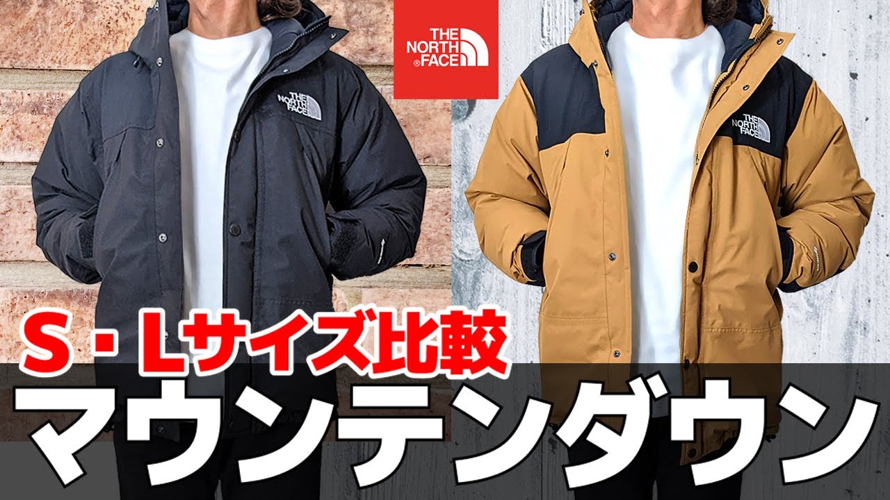 ノースフェイスTHE NORTH FACE/ALPINIST DOWNJACKET サイズL