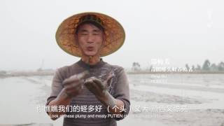 Putien Clam Festival