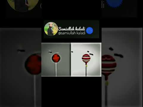 Mashallah Look At The Veiled Woman And Also Look At The Woman Without Veil