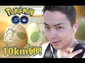 ポケモンGO!10km卵を3個孵化させた!