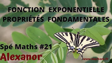 Spé Maths au lycée  #21 fonction exponentielle propriétés fondamentales notation e^x