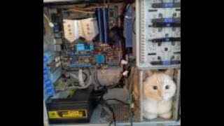 commandist dies [noob vs zombies realish reborn] screenshot 5