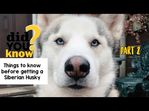 THINGS TO KNOW