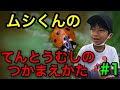 てんとうむし こんちゅうだいすき むしくん大冒険 てんとう虫編 昆虫すごいぜ カマキリ先生 てんとうむし こんちゅうだいすき むしくん大冒険 てんとう虫編 昆虫すごいぜ カマキリ先生