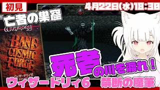 希少本 小説ウィザードリィ6 呪われし聖筆 レトロゲーム 希少本 小説ウィザードリィ6 呪われし聖筆 レトロゲーム - メルカリ
