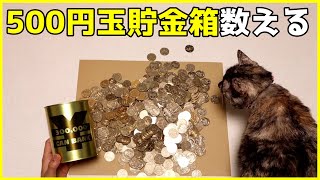 30万円貯まる500円貯金箱をじゃこちゃんと開封してみた。