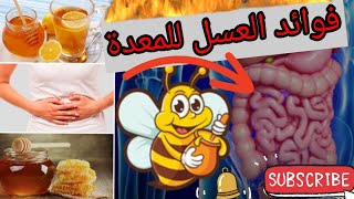 فوائد العسل للمعدة