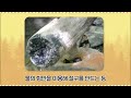 다낭 수영장서 한국인 사망‥다리 넣자마자 감전 (2022.10.06/뉴스데스크/MBC)