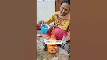 Way To Keep Pests Insects Away From Plants क ड और मक ड स छ टक र प य Ashasgardenstory Shorts 