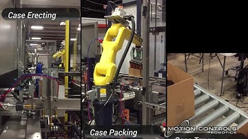 Fully Automated Case Packing System for Bottles