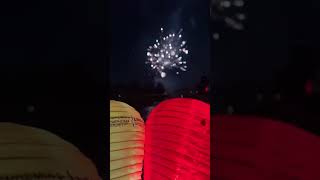 I Walked In Remembrance & Support