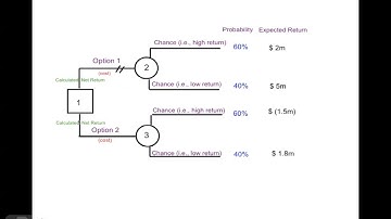 Decision Trees