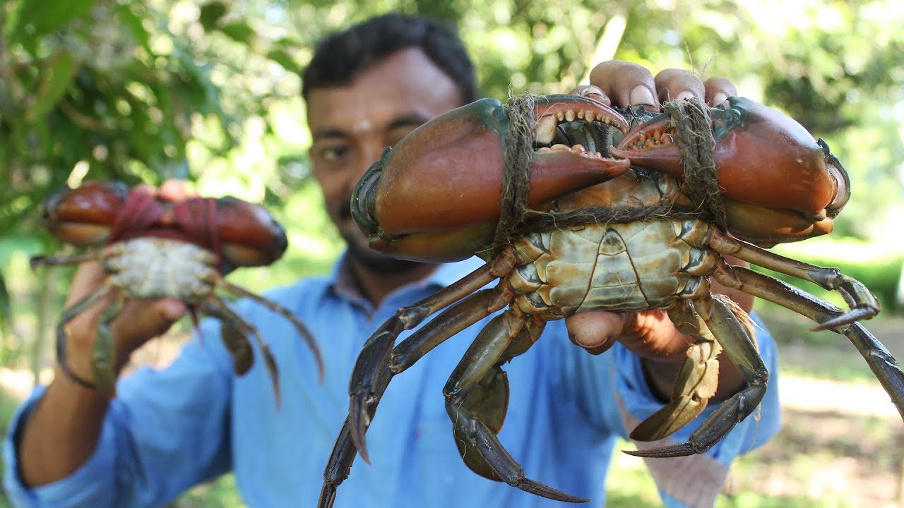 King Size Crab Curry - Crab Recipe || Indian Village Style Crab Curry Recipes || myna street food | Myna Street Food