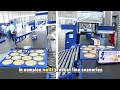 Automated Intelligent Sorting System in Action | Packaging Inspection &amp; Logistics Solutions