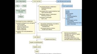 Alterations in Digestive Function (part 2)