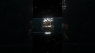١٧ أكتوبر، ٢٠٢٥